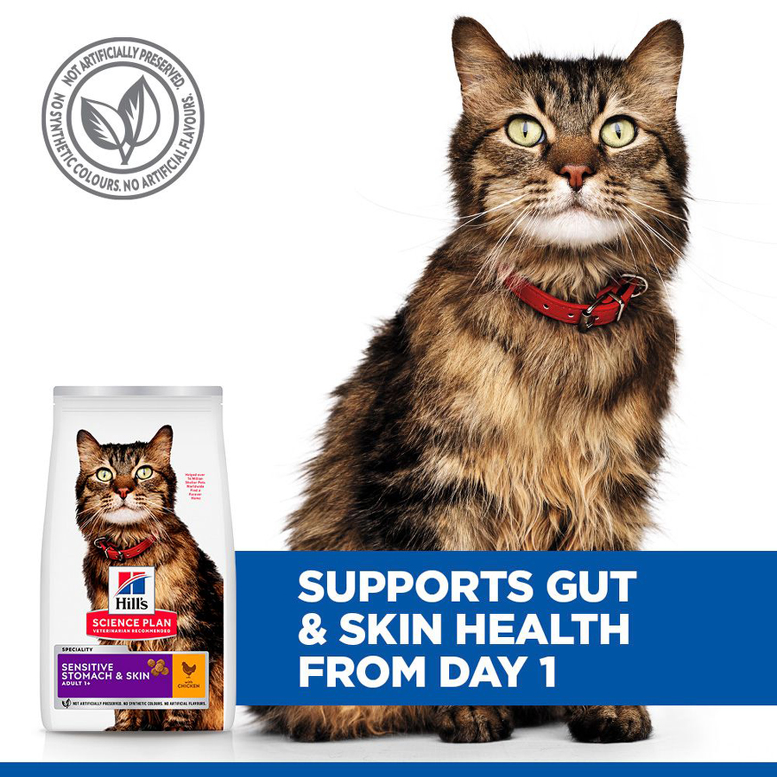 (COMING SOON) Hill's Science Diet - Sensitive Stomach & Skin